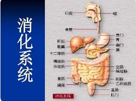 常见消化系统疾病的诊断及联合用药