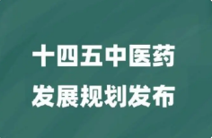 《河南省“十四五”中医药发展规划》政策解读