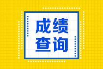 2022年税务师考试成绩公布啦！来看查分流程>